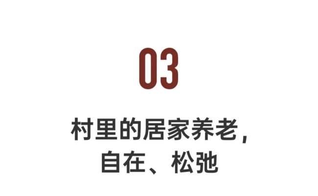 男子耗资几百万给父母造养老宅院 过有质量的生活-第50张图片-9158手机教程网