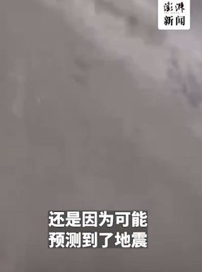 女生口述土耳其强震:千人滞留机场,航班全部取消 店家缠黑丝带哀悼-第4张图片-9158手机教程网 女生口述土耳其强震:千人滞留机场,航班全部取消 店家缠黑丝带哀悼-第4张图片-9158手机教程网