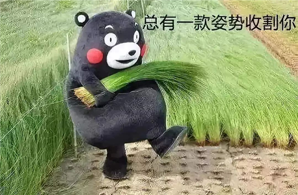 ChatGPT都快成韭菜收割机了!A股出现魔幻一幕-第10张图片-9158手机教程网 ChatGPT都快成韭菜收割机了!A股出现魔幻一幕-第10张图片-9158手机教程网