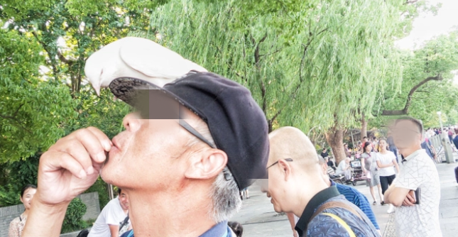 70岁大爷常喂鸽子感染隐球菌:肺上多了个“洞”-第1张图片-9158手机教程网 70岁大爷常喂鸽子感染隐球菌:肺上多了个“洞”-第1张图片-9158手机教程网