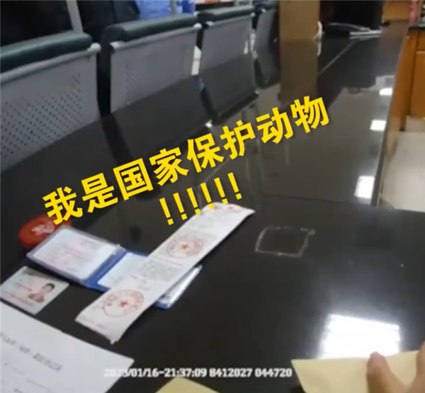 男子醉驾被查不服 辩称:我是国家保护动物-第1张图片-9158手机教程网 男子醉驾被查不服 辩称:我是国家保护动物-第1张图片-9158手机教程网