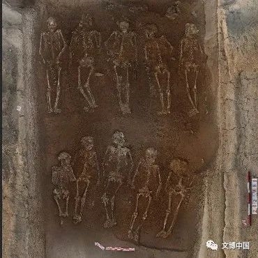 陕西现聚落遗址 西周墓葬有43个殉人!国内迄今最多-第9张图片-9158手机教程网 陕西现聚落遗址 西周墓葬有43个殉人!国内迄今最多-第9张图片-9158手机教程网