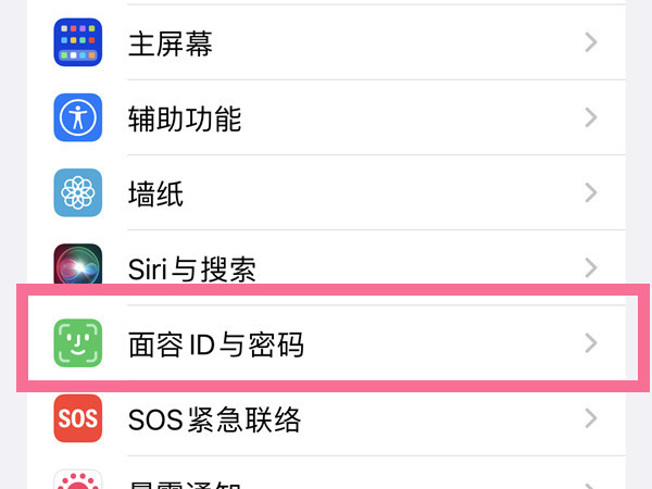 iphone可以录入几个面部-第1张图片-9158手机教程网