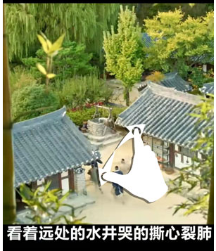 抖音放大视频在哪里-第3张图片-9158手机教程网