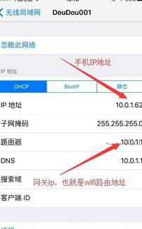 iPhone怎么查看手机ip地址-第3张图片-9158手机教程网