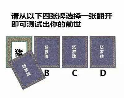 从4张牌翻开一张测试出你的前世-第2张图片-9158手机教程网