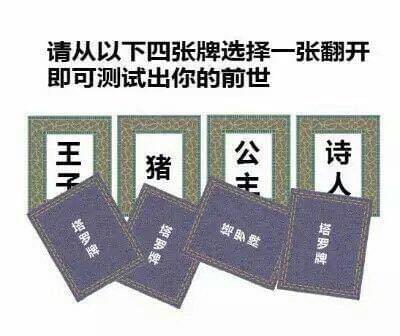 从4张牌翻开一张测试出你的前世-第5张图片-9158手机教程网