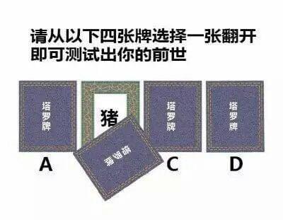 从4张牌翻开一张测试出你的前世-第4张图片-9158手机教程网