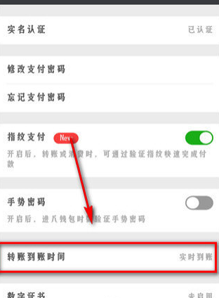 微信延期到账如何操作-第5张图片-9158手机教程网