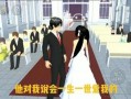 樱花校园模拟器怎么结婚生小孩
