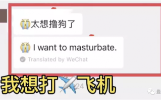 微信翻译 快把上海老外搞疯了