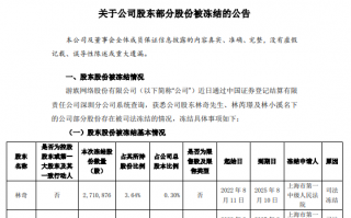 游族网络：股东林奇累计被冻结股份约 5249 万股