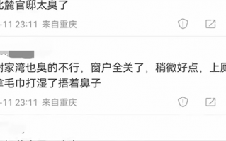 重庆市民称多地闻到刺鼻臭味 官方回应：山火等多种原因所致