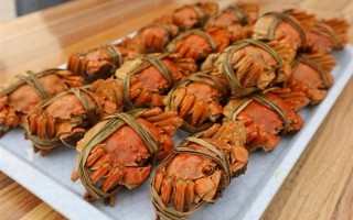 注意！今年你买的阳澄湖大闸蟹可能是假的：高温导致蟹还没长大