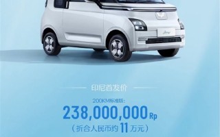 五菱全新微型电动车Air ev印尼开卖：起售价约11万人民币