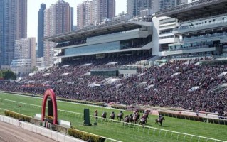 香港举行新春赛马喜迎兔年，入场人数创三年来新高