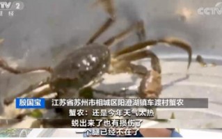 国人最爱的阳澄湖大闸蟹因持续高温产量减少：价格也要涨 还吃吗？