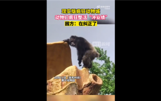 南宁动物园回应动物“不正经”：现实版疯狂动物城圈粉无数 专家揭秘