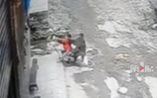 重庆野猴伤害多人至今未被抓获 科普如何自救