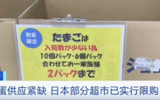 日本鸡蛋产地最大养鸡场暴发禽流感 导致鸡蛋供不应求价格翻番