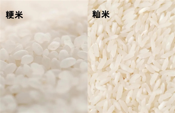 为什么你做的米饭不好吃？从米到电饭煲 一碗好米饭是如何诞生的-第6张图片-9158手机教程网