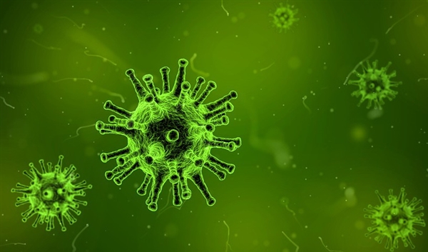 科学家首次发现“专吃病毒”的生物：改变人类看待病毒的方式-第2张图片-9158手机教程网
