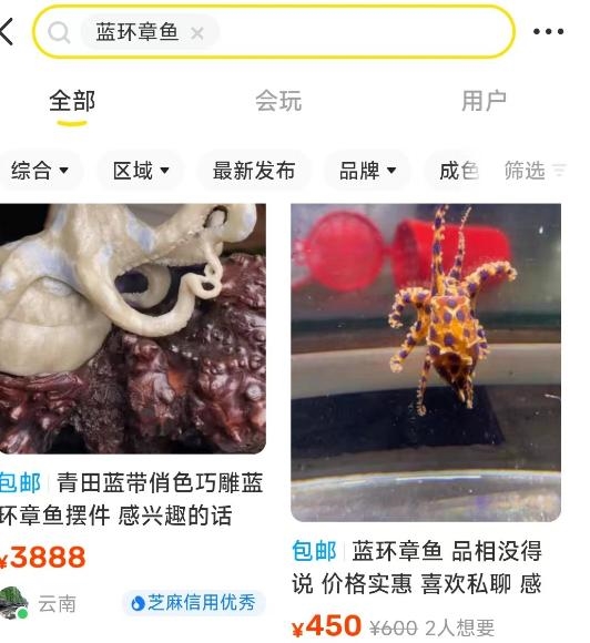 蓝环章鱼居然出现在火锅店！毒性是眼镜蛇的50倍、氰化钾的850倍-第6张图片-9158手机教程网