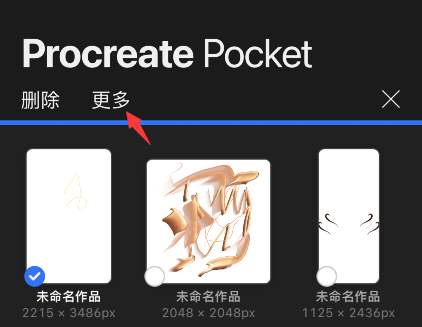 procreate pocket怎样预览图片-第3张图片-9158手机教程网