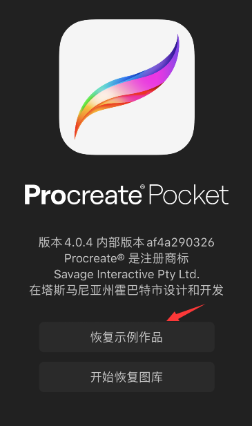 procreate pocket怎样恢复示例作品-第3张图片-9158手机教程网